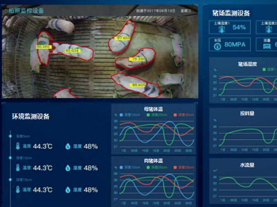 生豬質量追溯，直選愛碼物聯(lián)二維碼質量追溯系統(tǒng)