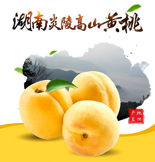 湖南地標(biāo)品牌農(nóng)產(chǎn)品-炎陵黃桃