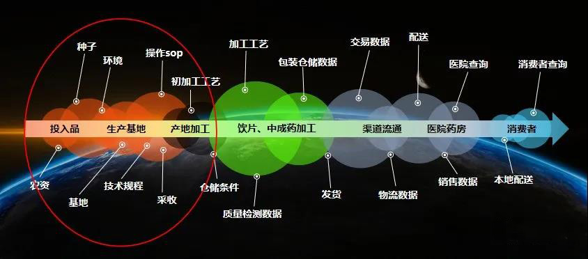 中藥全流程追溯信息示意圖